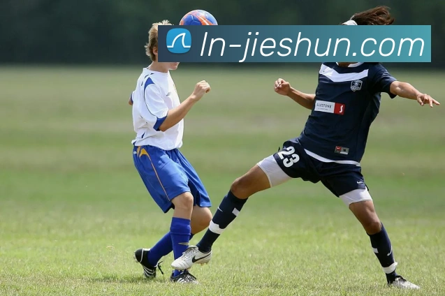 emc易倍APP 封面图